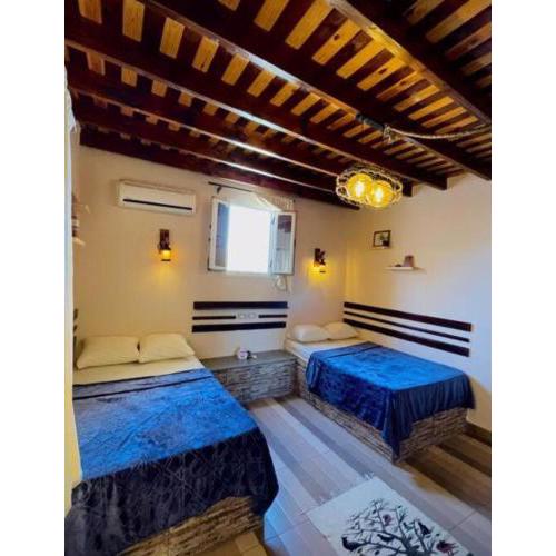 AMFIBIAN Guesthouse