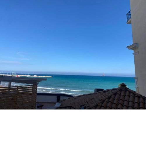AmMARE