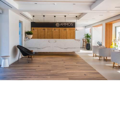 Ammos Beach Hotel