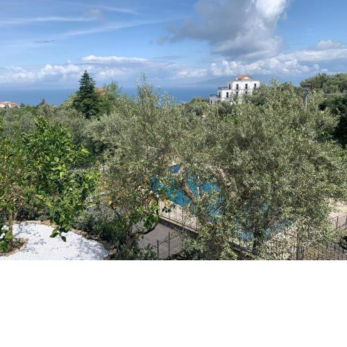AMORE RENTALS - Villa Tittina