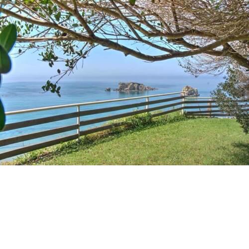Ampeli Corfu