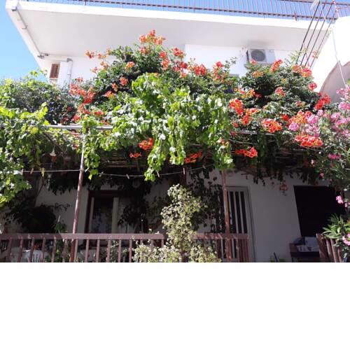 AMPELOS ANDROS