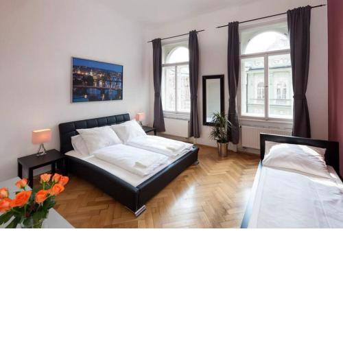 Ample,high-ceilings flat with parquets, Vodickova