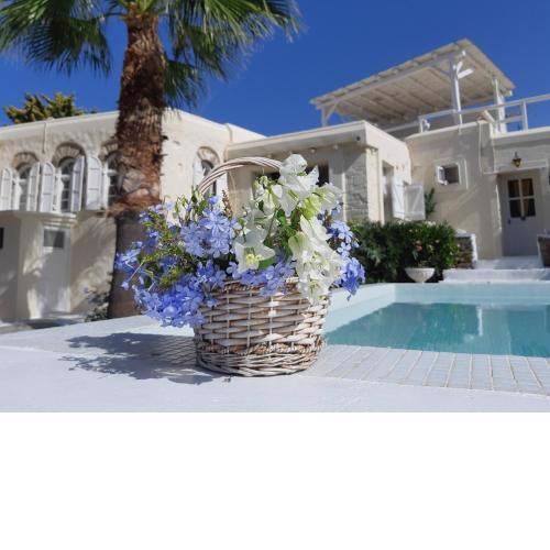 Anastasia Artistic Suites