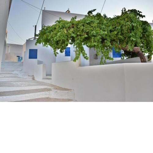 Anatoli Rooms