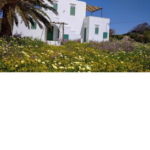 ANCIENT MEROPIA SIFNOS - STUDIOS PARADISE, CYCLADES, ΑΡΧΑΙΑ ΜΕΡΟΠΙΑ, ΚΥΚΛΑΔΕΣ η ΑΚΙΣ, ΚΤΊΡΙΟ Ι, 1ος ΟΡΟΦΟΣ ΜΕ 2 ΒΕΡΑΝΤΕΣ ΚΑΙ ΜΕ ΘΕΑ ΣΤΗ ΘΑΛΑΣΣΑ - Apollonia, with 2 verandas, on the paths of Sifnos