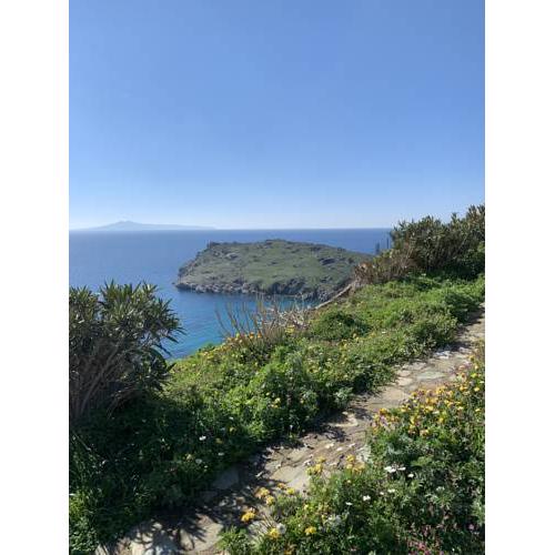 Andros