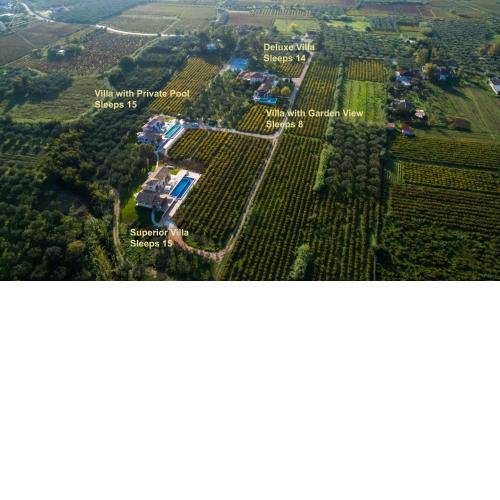 Aneli Luxury Villas Zakynthos