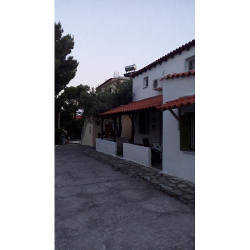 Anemos Studios