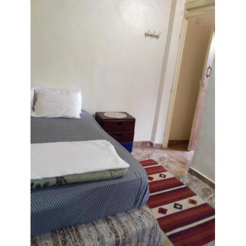 Animalia rooms 2