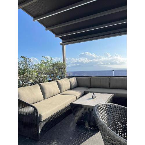 Ansel Home