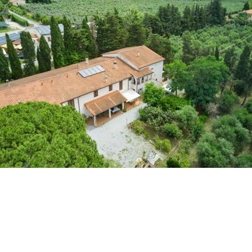 Antichi Palmenti - Alloro