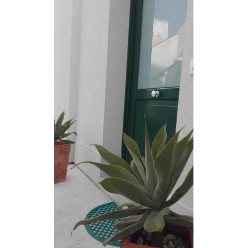 ANTICO CORTILE Favignana