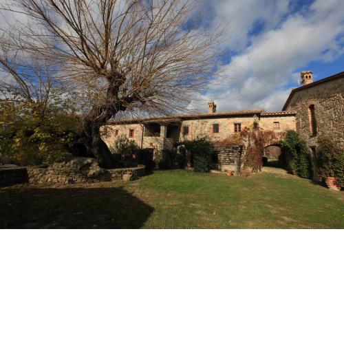 Antico Gelso