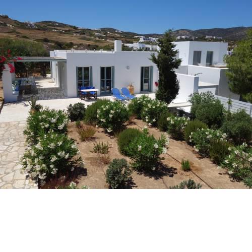 Antiparos Lotos