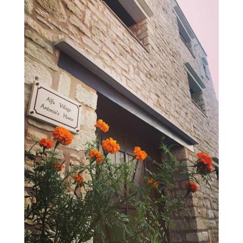 Antonia’s Home Alfa Village