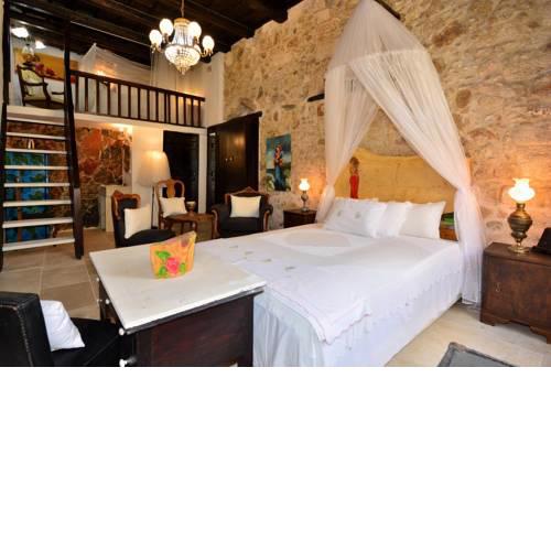 Antonias House