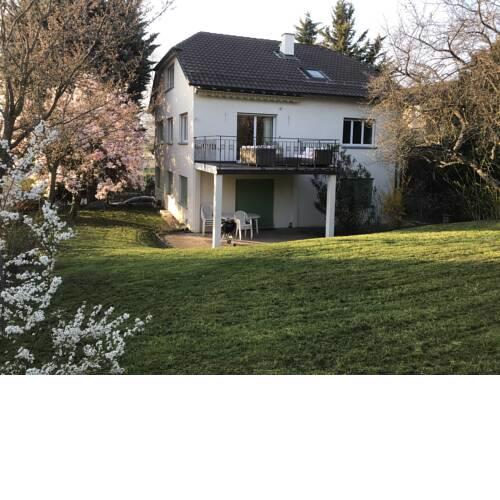 Antonio’s Place II