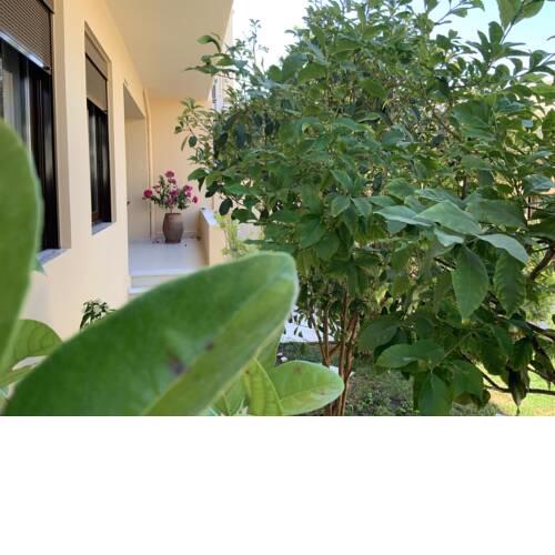Antonis' Chania City House