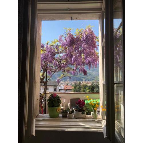 Ao giardini