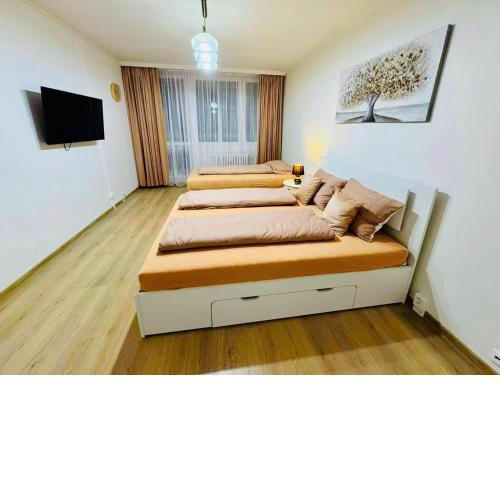 Apart for rent near center