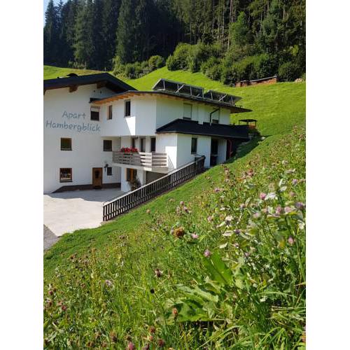 Apart Hambergblick