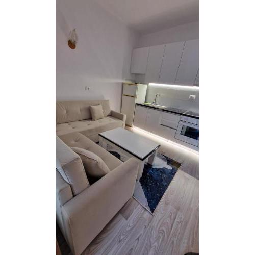Apartamemt me qera ditore ne Laprake, Rruga Dritan Hoxha (40 Euro)