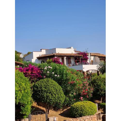 Apartament Azzuro 2