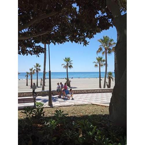 Apartament Delfin