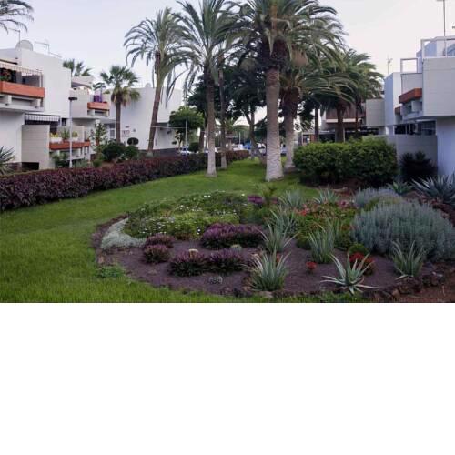 Apartament Frontera-Primavera