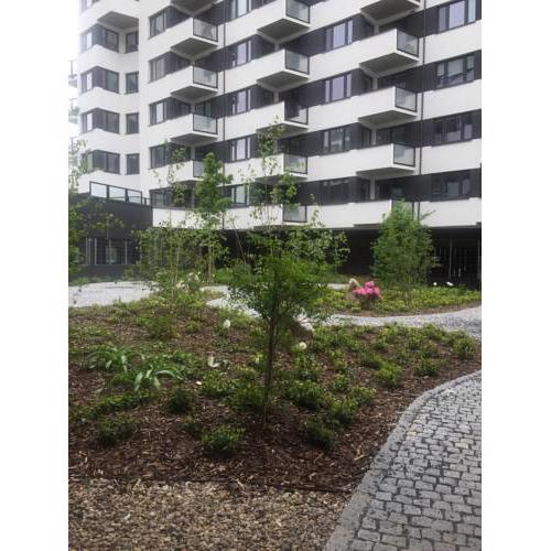 Apartament Rubin