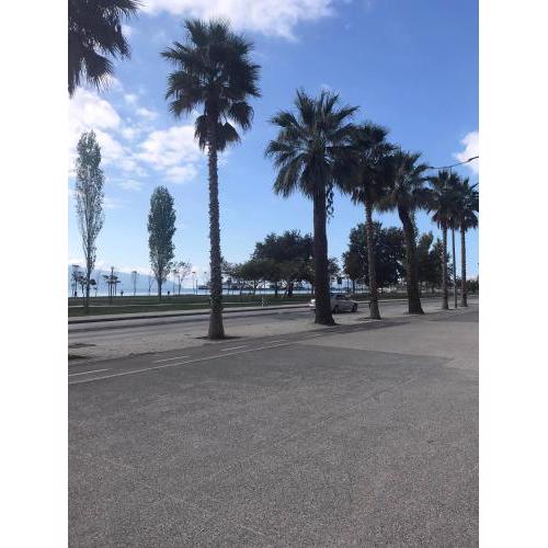 Apartament Serxhio