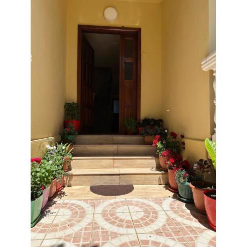 Apartamente Velipoje