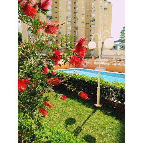 Apartamento Antillas