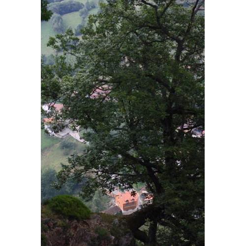 Apartamento Braña Vigidel Senda del Oso