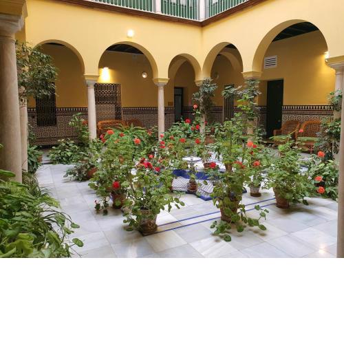 Apartamento Centro Historico