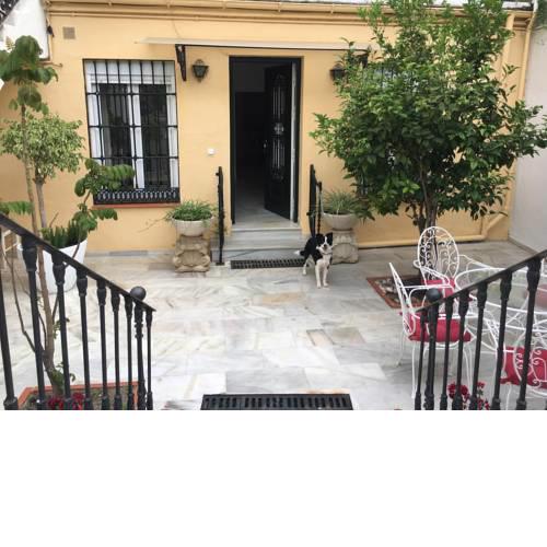 Apartamento con Patio