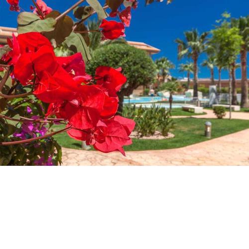 Apartamento Denia