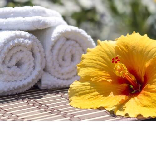 APARTAMENTO FLOR DE PASCUA