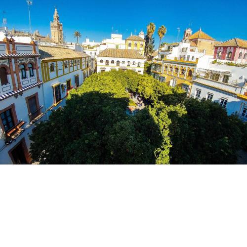Apartamento Plaza de Doña Elvira 8