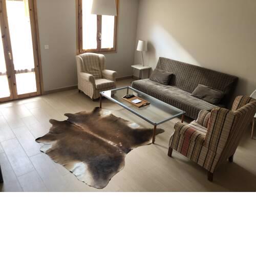 Apartamentos casa Francho