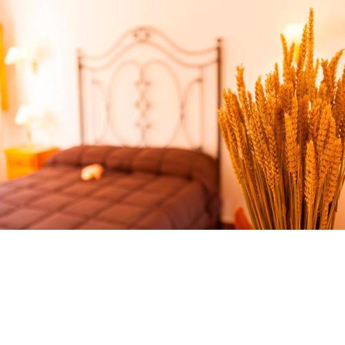 Apartamentos Cazorla Valle