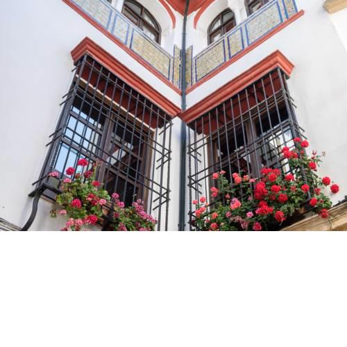 Apartamentos Los Patios de la Judería