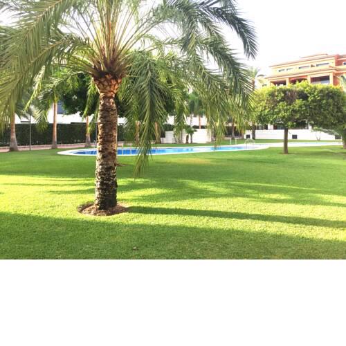 Apartamentos Soleados Jardines de Las Marinas