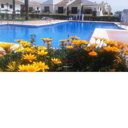 Apartamentos Vera Coast