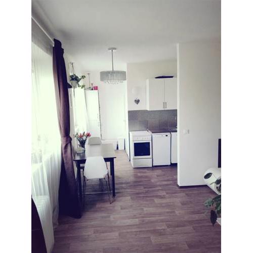 Apartement near city center Prague