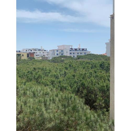 Apartement Pineta