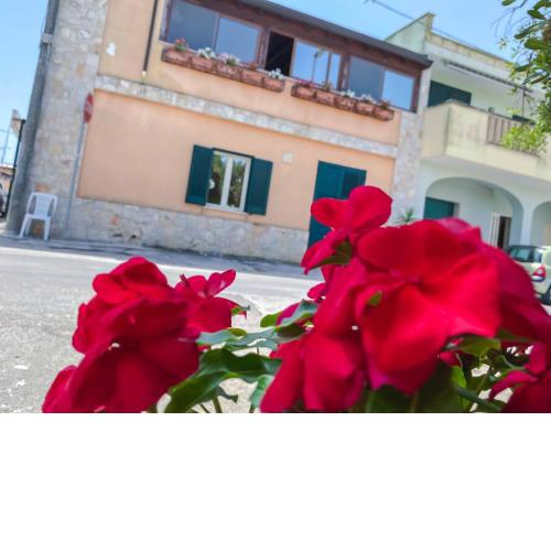 Aparthotel Coletta