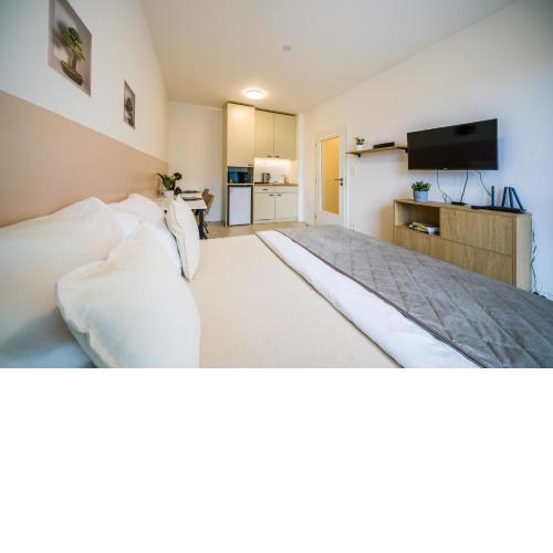APARTIA Apartment Brno-center