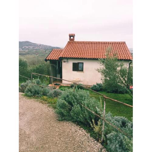 Apartma Oliva